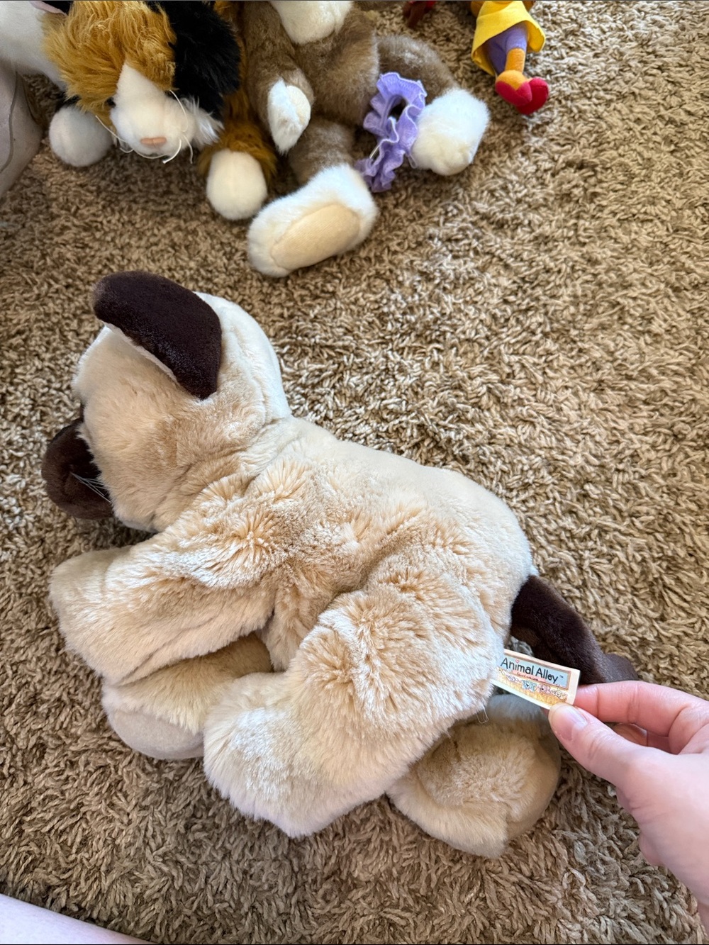 2001 Animal alley Siamese cat plush EUC - Picture 2 of 3